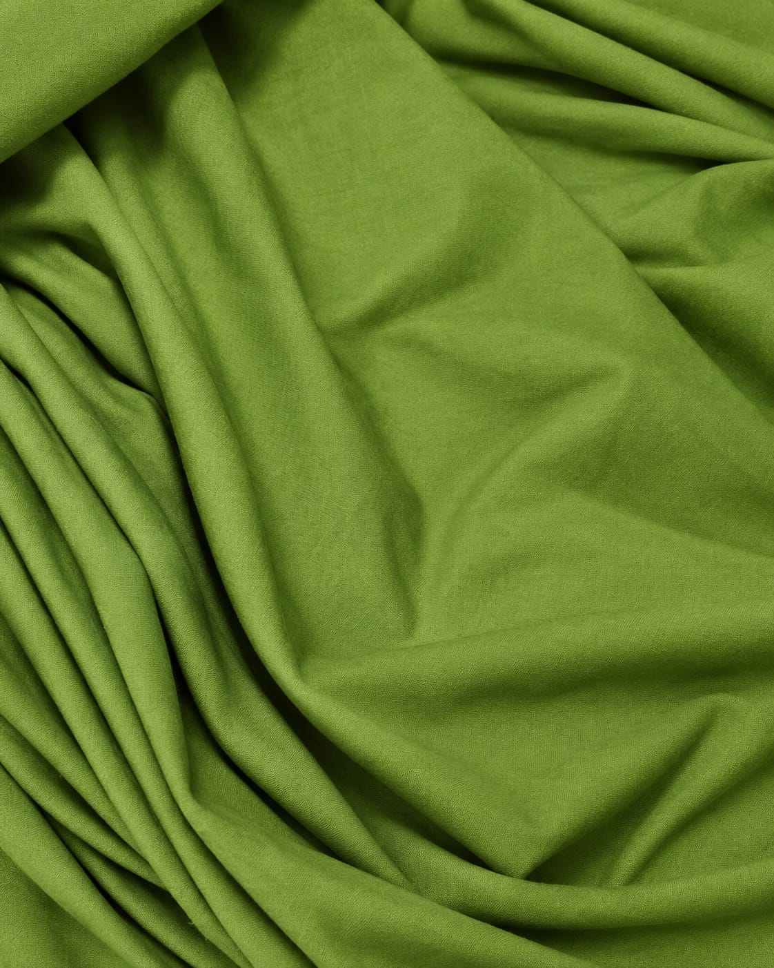 OLIVE EMBROIDERED PALAZZO CO-ORD SET